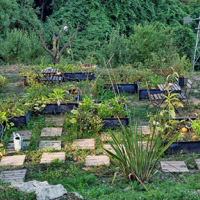 La ferme écologique 