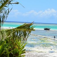 Out of Africa & Zanzibar 